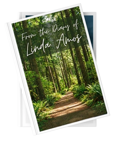 linda amos author blog